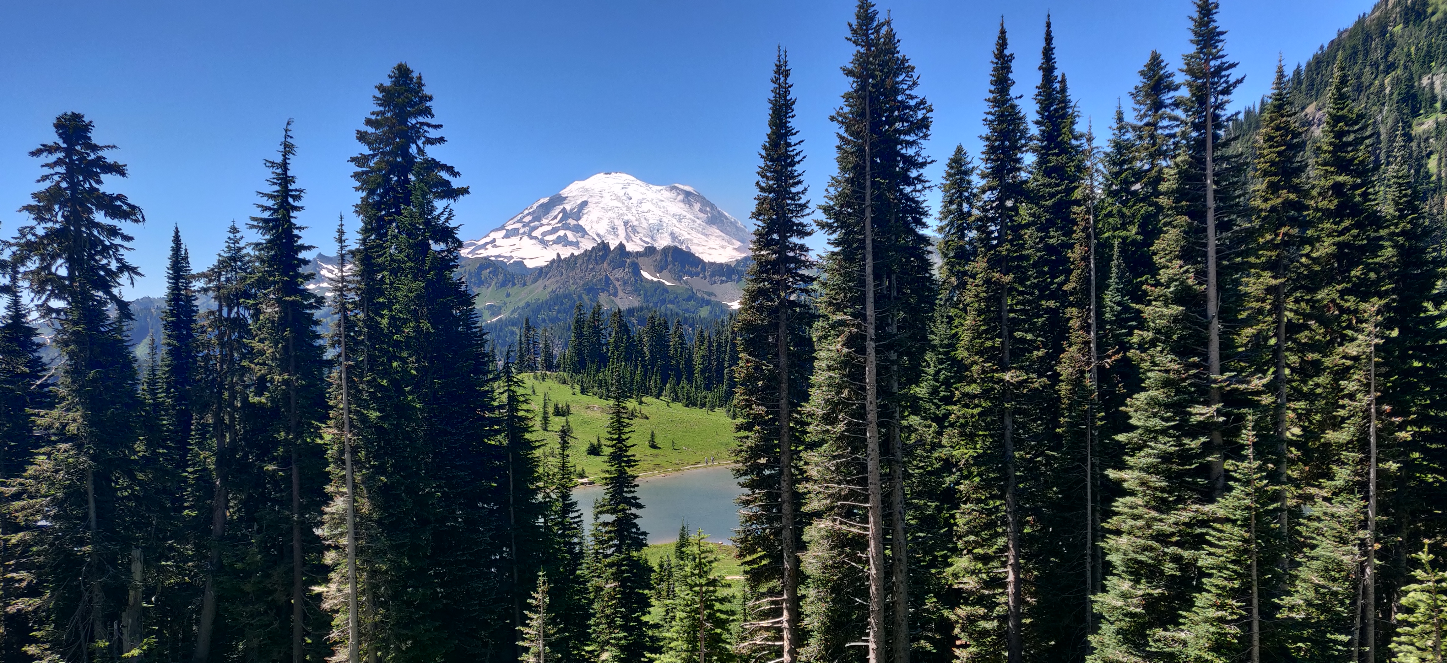 Mt. Adams, as seen from the East.